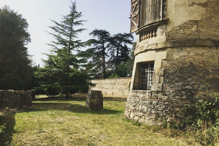 Château de Scopont - pieds de la tour et puit
