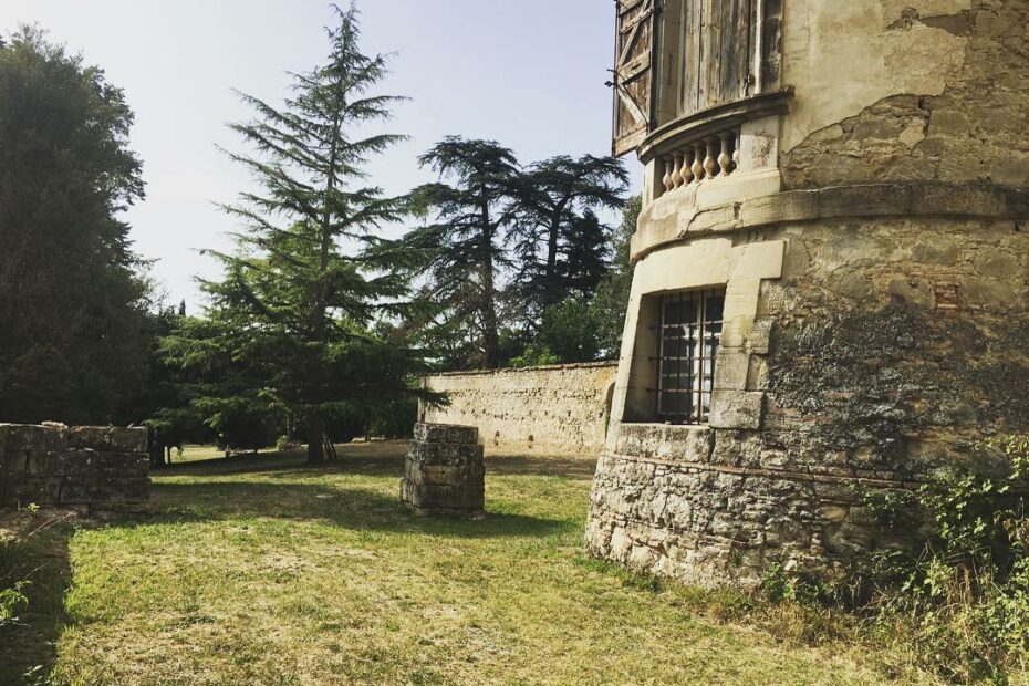 Château de Scopont - pieds de la tour et puit